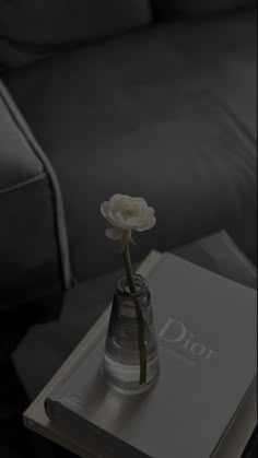 a white flower in a vase on top of a book next to a black couch