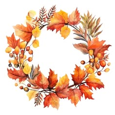 an autumn wreath with leaves, berries and acorns painted in watercolor on a white background