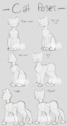 the cat poses are drawn in pencil and then placed on top of each other to make it