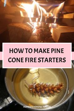 Pine cone fire starters are easy to make using beeswax and a braided candle wick. They can help to get a fire started within minutes and also make a great gift! Pine Cone Fire Starters, Homestead Planning, Best Fire Starter, Camping Fire Starters