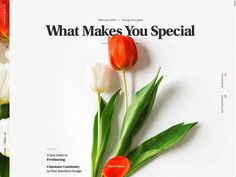 three different images of tulips with the words what makes your special?