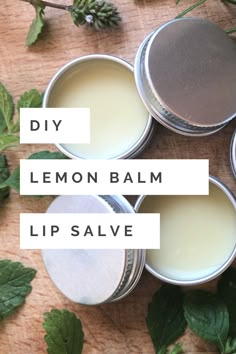 Lip Salve Recipe, Herbal Salves Recipes, Diy Salve, Peony Salve, Calendula Balm Salve Recipes, Lemon Balm Lip Balm Diy, Diy Skin Healing Salve