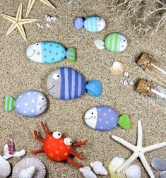 various sea animals and seashells on the sand