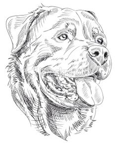 a black and white drawing of a dog's head with his tongue hanging out