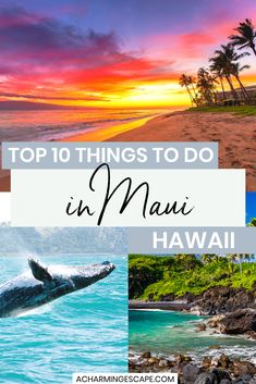 the top 10 things to do in hawaii