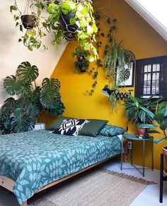 a bedroom with yellow walls and plants hanging from the ceiling, bed in foreground