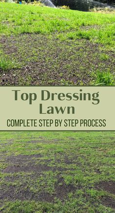 lawn that has been top dressed with compost and then seeded. Lawn Repair Step By Step, Top Soil For Lawn, Top Dressing Lawn, Topdressing Lawn, Grassless Yard, Farmhouse Property, Overseeding Lawn, Centipede Grass