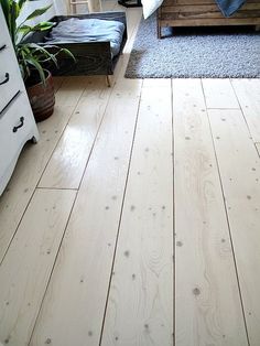 a bedroom with wood floors and white furniture in the background, there is a plant on the floor