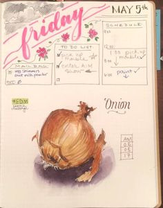 a drawing of an onion sitting on top of a notebook