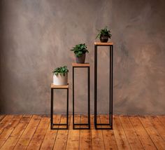 three plant stands with plants in them on a wooden floor