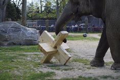 an elephant standing next to a wooden bench