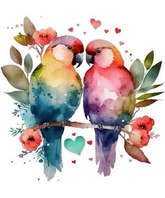 two colorful birds sitting on top of a branch with leaves and flowers around them, painted in watercolor