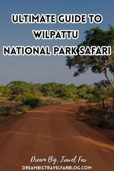 the ultimate guide to wipatu national park safari