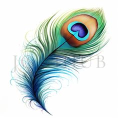 a drawing of a peacock feather with blue and green feathers