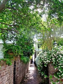 an alley way with brick walls and white flowers on the bushes, trees and houses in the background