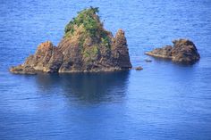 an island in the middle of water with trees growing on it's top and bottom