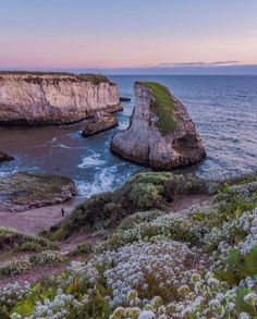 the coast is covered in wildflowers and cliffs at dusk, with people walking along the shore