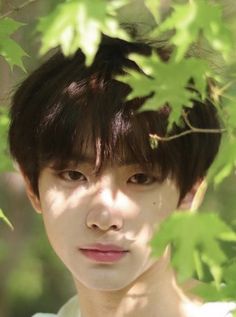 a young man with short hair standing in front of some green leaves and looking at the camera