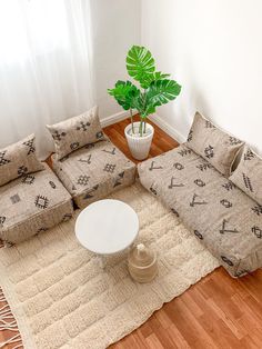 a living room with couches, table and potted plant on the floor in front of a window