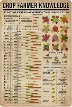 an old poster with many different types of crops