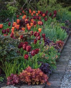 many different types of flowers in a garden