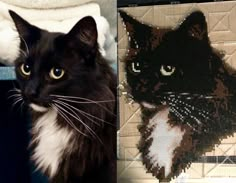 a black and white cat sitting next to a cross - stitch picture on a wall