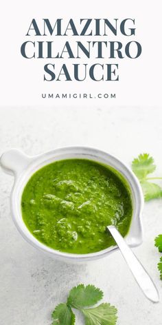 a white bowl filled with green sauce and garnished with cilantro leaves