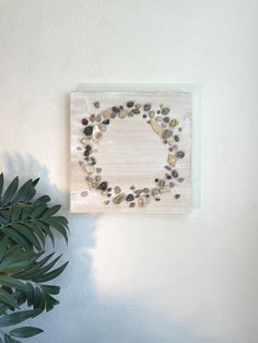 a plant is next to a white wall with rocks in the shape of a circle