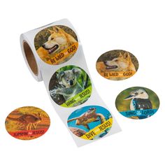 four stickers with different types of animals and words on them, including an image of a