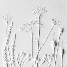 some white flowers on a white background