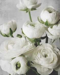 a vase filled with white flowers on top of a table