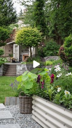 a garden with lots of plants and flowers in it