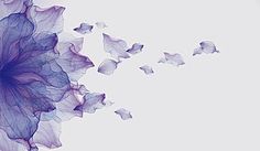 an abstract photo of purple flowers and butterflies