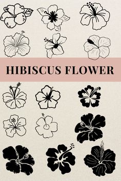 the hibiscus flower collection is shown in black and white, with pink accents