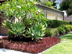 the front yard is neatly trimmed and ready to be used as a landscaping area for your home