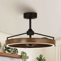 an overhead light fixture in a kitchen with potted plants