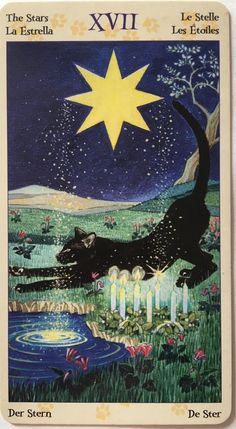 a tarot card with a black cat in the grass and a star above it