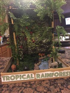 a box filled with plants on top of a counter