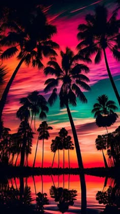 palm trees are silhouetted against a colorful sky with water in the foreground and reflection on the ground