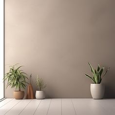 three potted plants sit in front of a beige wall