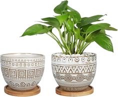 two planters with plants in them sitting on wooden bases, one is white and the other is brown