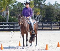 a man riding on the back of a brown horse through an obstacle course with orange cones