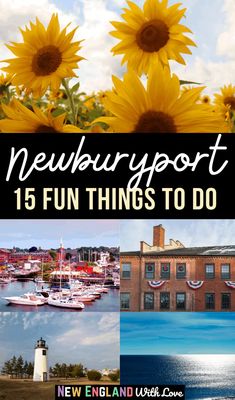 sunflowers and boats are featured in this collage with the words newbury, 15 fun things to do