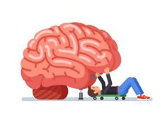 a person laying on the ground next to a large brain