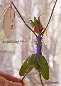 a hand holding a plant with leaves and seed pods attached to it