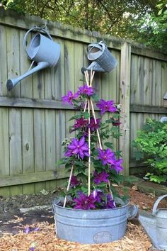 purple flowers are growing in an old metal bucket on the side of a wooden fence