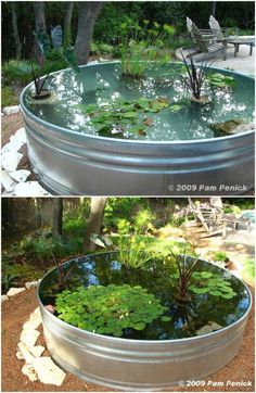 two different views of an outdoor pond with lily pads and water lilies in it