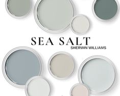 the sea salt color scheme for sherylin williams's new paint collection is shown