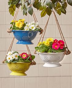 three hanging flower pots with flowers in them