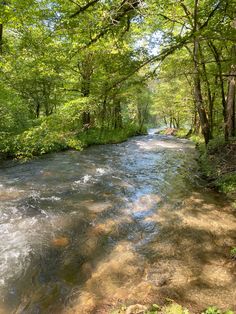 a river running through a forest filled with lots of green leaves on the side of it